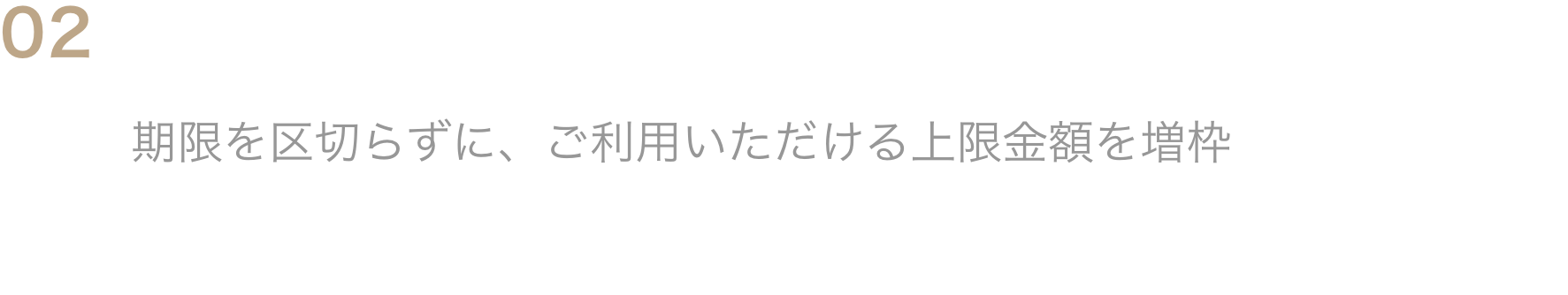 02期限を区切らない利用限度枠の増枠期限を区切らずに、ご利用いただける上限金額を増枠