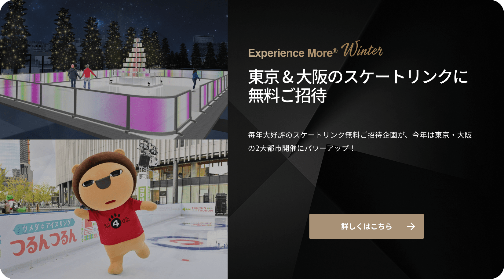 ファーストビューの画像